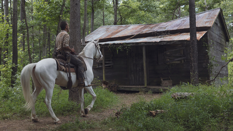 Nice shack you’ve got there. What a shame it’d be if the lead character of a hit TV show were to bleed out all over it.